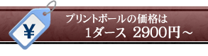 名入れゴルフボール案内4